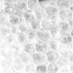 Image of Spices note